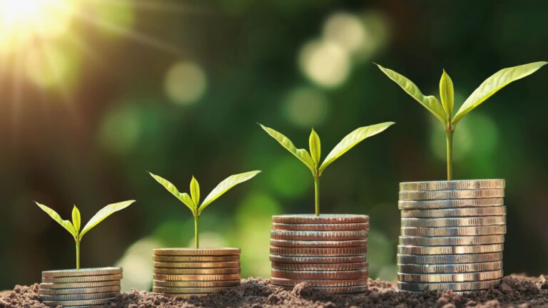 Plants growing out of piles of coins